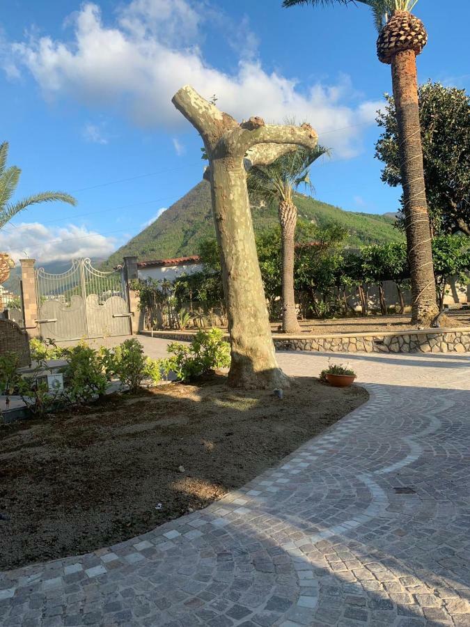 Villa Lucia Terrazza Panoramica Castellammare di Stabia Eksteriør billede